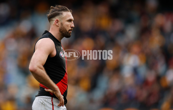 AFL 2018 Round 20 - Hawthorn v Essendon - 617445