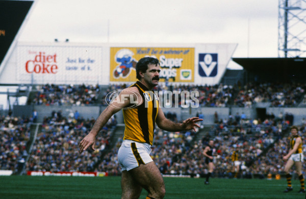 VFL 1985 Grand Final - Essendon v Hawthorn - 23441