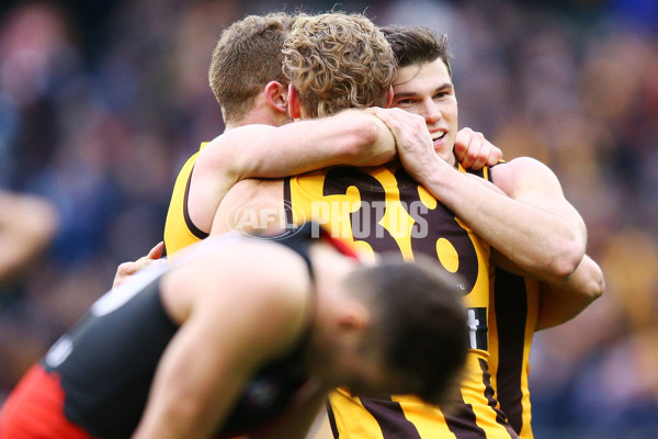 AFL 2018 Round 20 - Hawthorn v Essendon - 617516