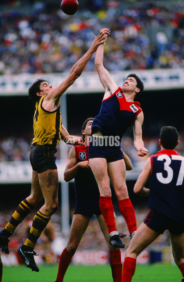 VFL 1988 Grand Final - Hawthorn v Melbourne - 26155