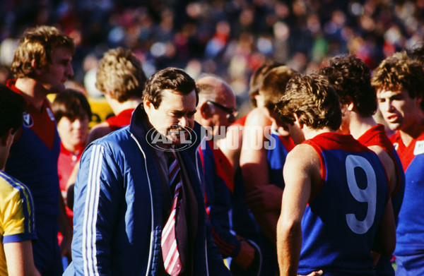 VFL 1980's - Melbourne Demons - 26170