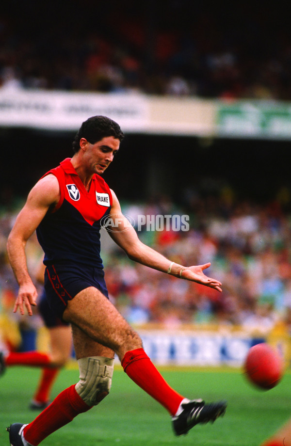 VFL 1989 - Melbourne Demons - 26177