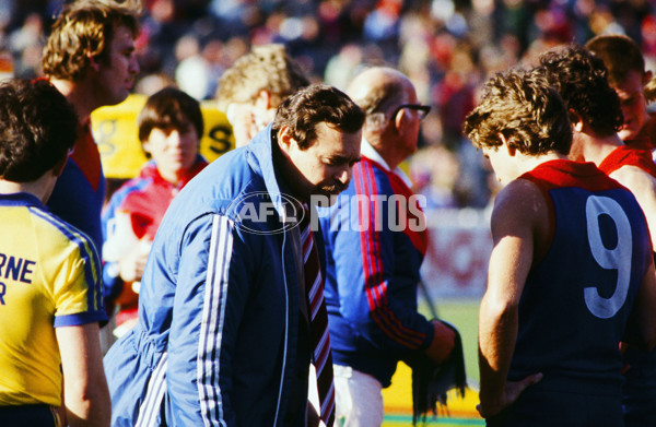 VFL 1980's - Melbourne Demons - 26143