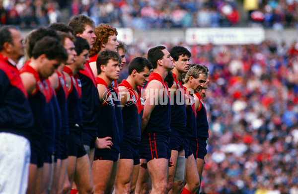 VFL 1988 Grand Final - Hawthorn v Melbourne - 26124