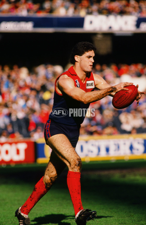 VFL 1989 - Melbourne Demons - 26168