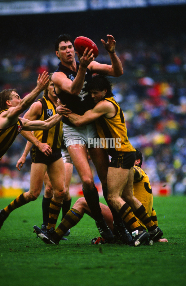 VFL 1987 - Carlton v Hawthorn - 26370