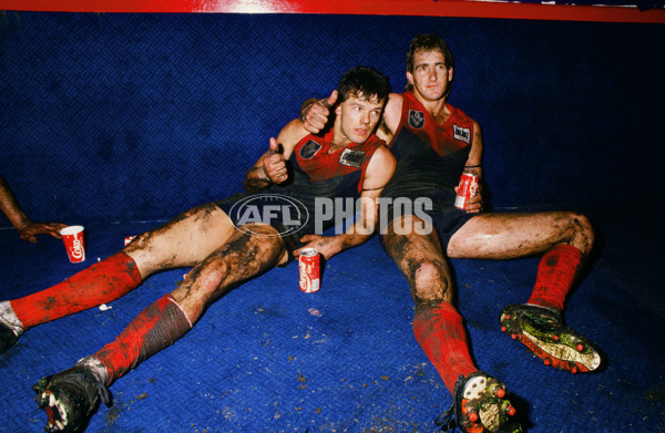 VFL 1988 Grand Final - Hawthorn v Melbourne - 26130