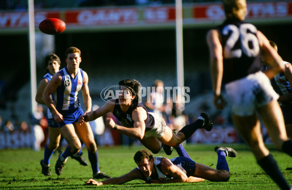 VFL 1986 - North Melbourne v Carlton - 26442