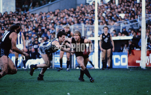 VFL 1981 - North Melbourne v Carlton - 26749