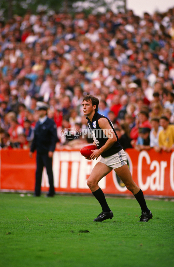 VFL 1989 - Carlton Blues - 26384