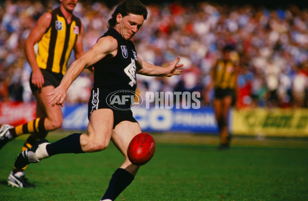 VFL 1987 - Hawthorn v Carlton - 27023