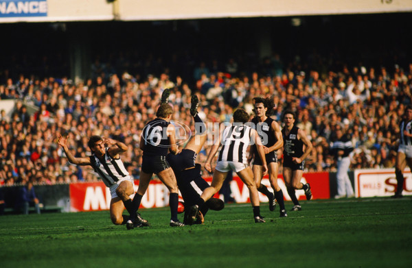 VFL 1988 - Carlton v Collingwood - 26818