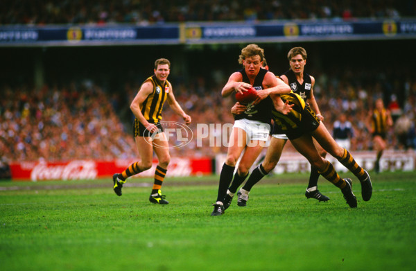 VFL 1987 - Hawthorn v Carlton - 27150