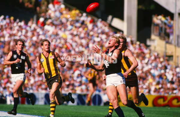 VFL 1987 - Carlton v Hawthorn - 27115