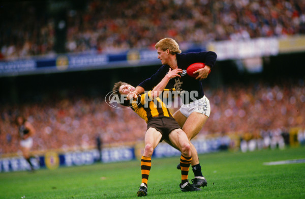 VFL 1987 - Carlton v Hawthorn - 27048