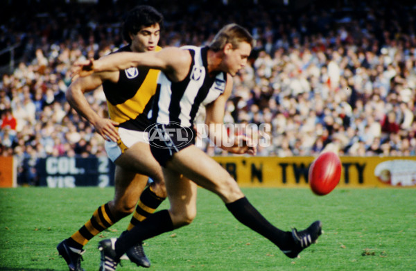 VFL 1984 - Richmond v Collingwood - 28532