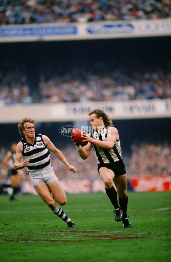 VFL 1988 - Collingwood v Geelong - 28645