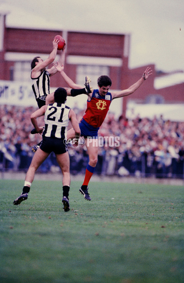 VFL 1986 - Fitzroy v Collingwood - 28565