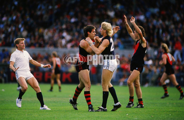 VFL 1980's - Essendon v Carlton - 26859