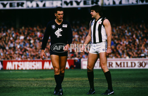 VFL 1988 - Carlton v Collingwood - 26814