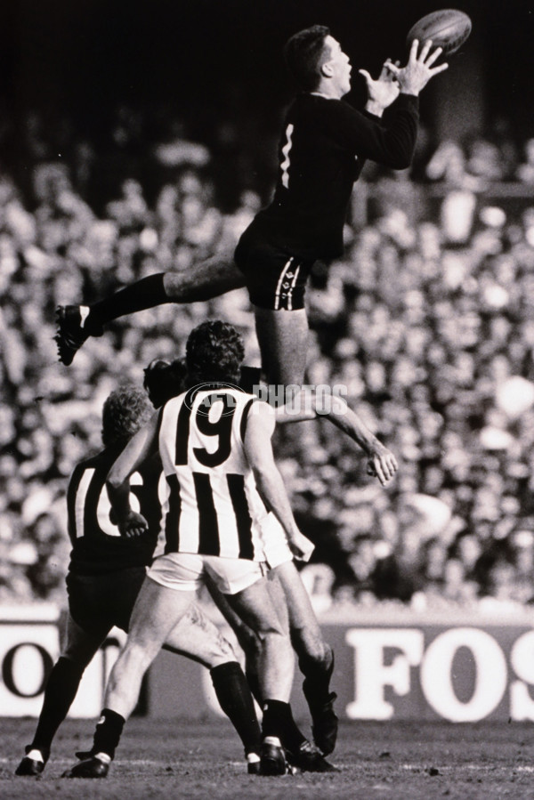 VFL 1988 Round 14 - Carlton v Collingwood - 26783