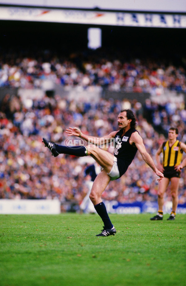 VFL 1987 - Carlton v Hawthorn - 26578