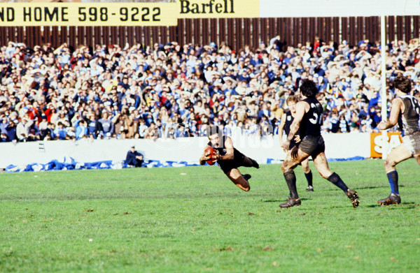 VFL 1980's - Carlton Blues - 26902