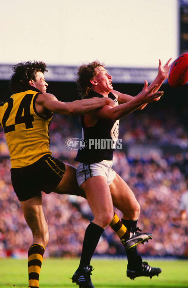 VFL 1986 - Carlton v Hawthorn - 27154