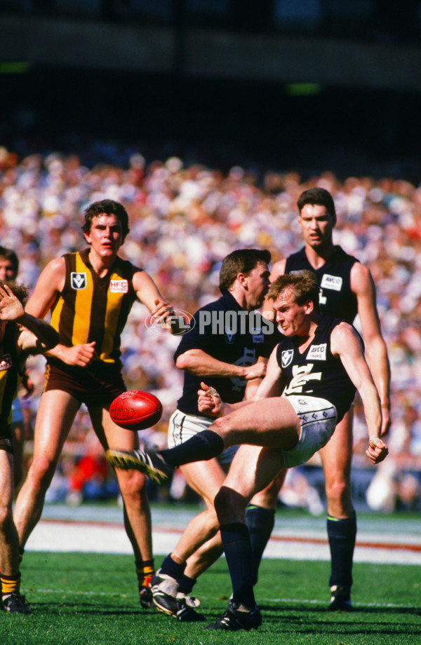 VFL 1986 - Carlton v Hawthorn - 27250