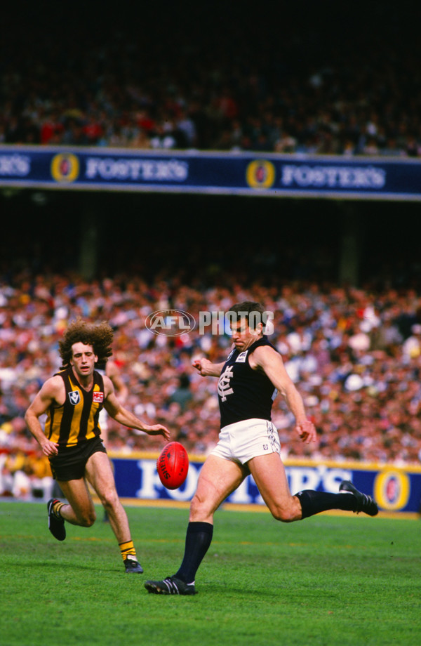 VFL 1987 - Carlton v Hawthorn - 27243