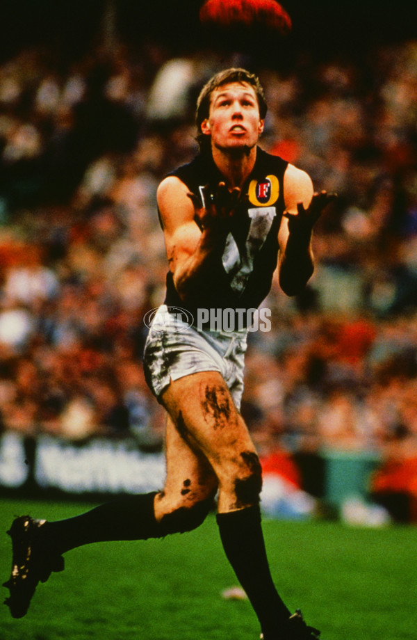 VFL 1989 State of Origin Match - Victoria v South Australia - 28342