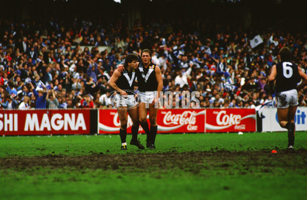 VFL 1989 State of Origin Match - Victoria v South Australia - 28357