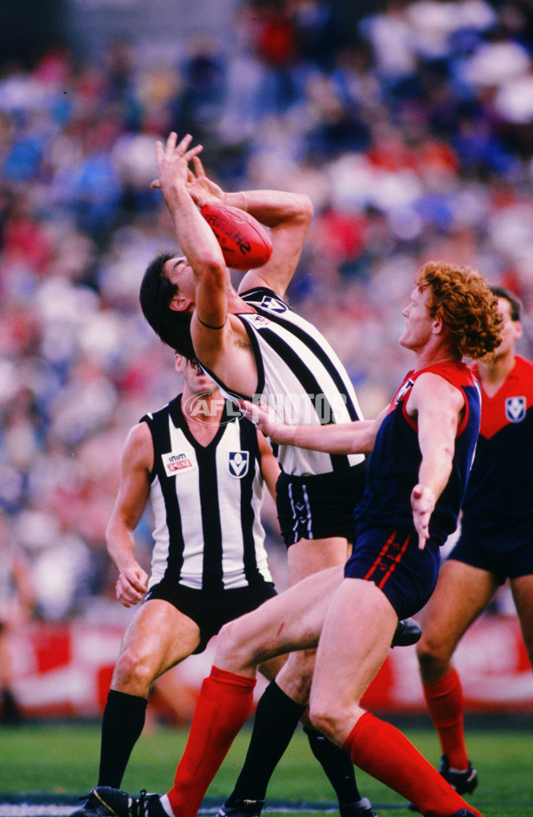 VFL 1988 - Collingwood v Melbourne - 28687