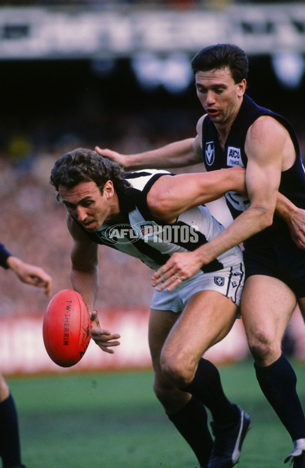 VFL 1988 - Collingwood v Carlton - 28768