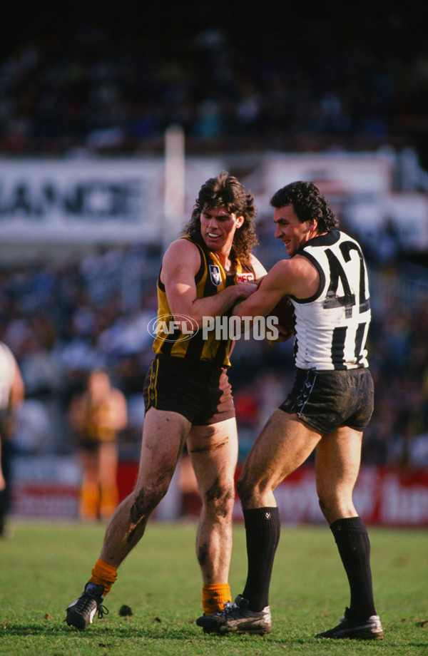 VFL 1988 - Collingwood v Hawthorn - 29041