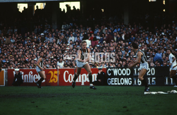 VFL 1970's - Collingwood Magpies - 29088