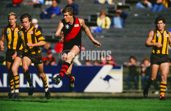 VFL 1980's - Hawthorn v Essendon - 29521