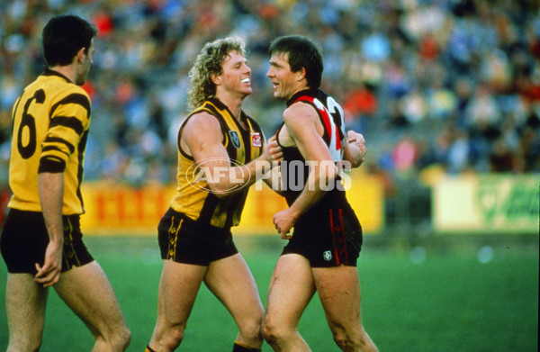 VFL 1980's - Hawthorn v Essendon - 29520