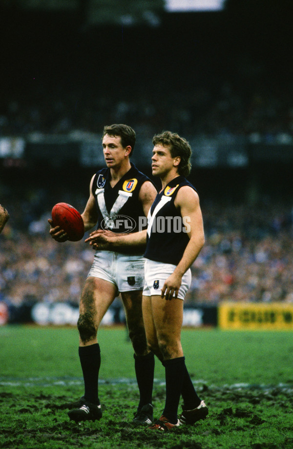 VFL 1989 State of Origin Match - 29556