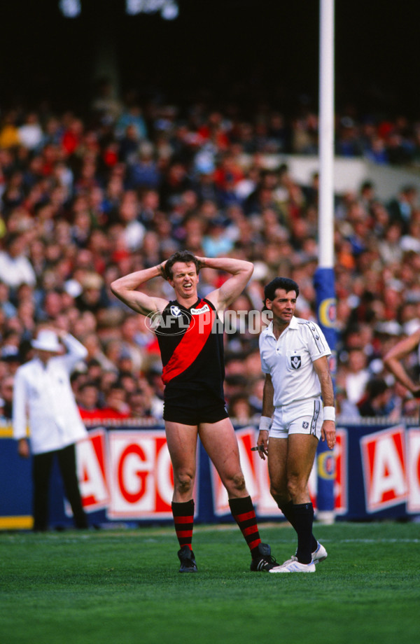 VFL 1980's - Essendon Bombers - 29546