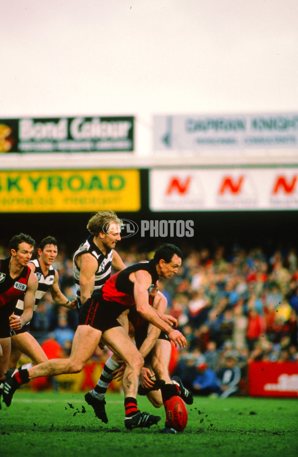 VFL 1980's - Geelong v Essendon - 29534