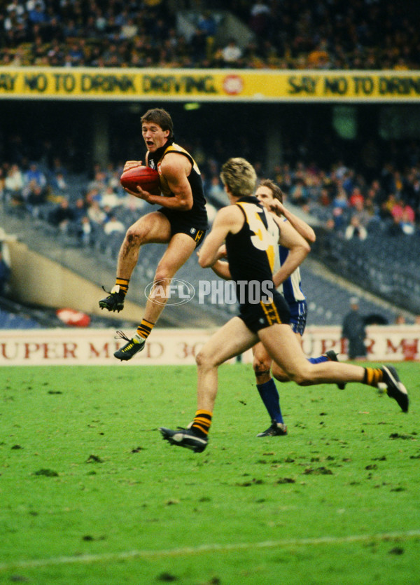 VFL 1989 - Richmond v North Melbourne - 30147