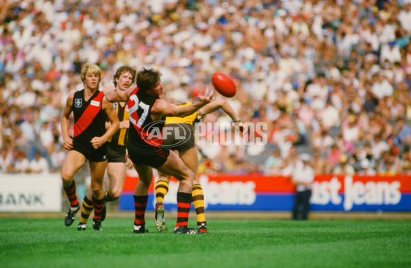 VFL 1985 - Essendon v Hawthorn - 30273