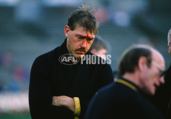 VFL 1989 - Richmond Tigers - 30233