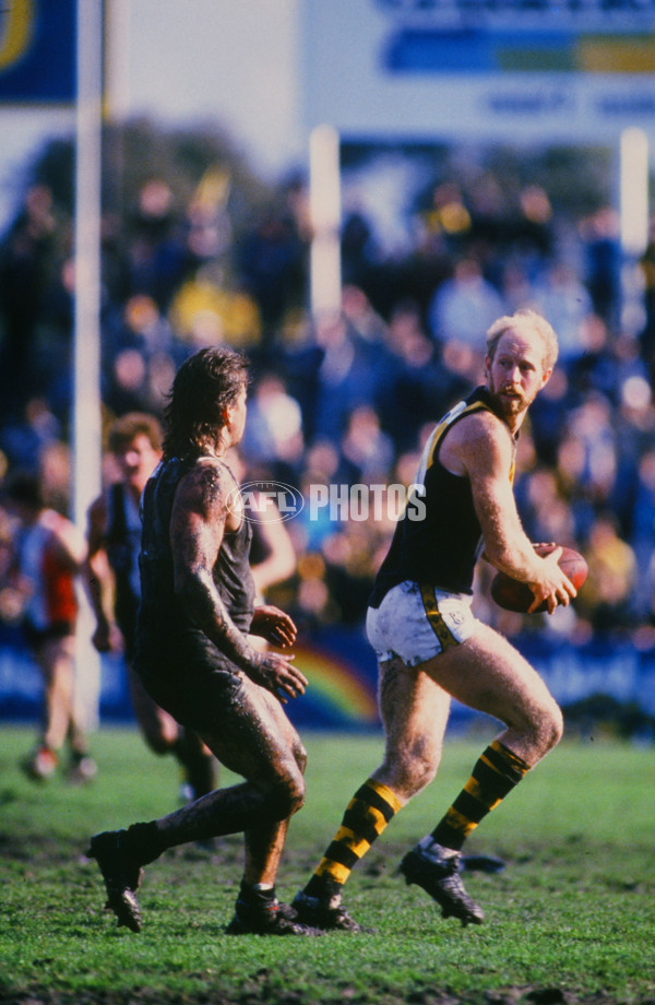 VFL 1988 - Richmond Tigers - 30202