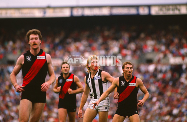 VFL 1989 - Essendon v Collingwood - 28446