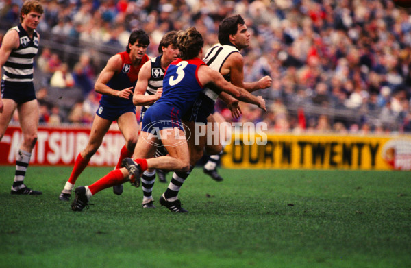 VFL 1985 - Melbourne v Geelong - 29170