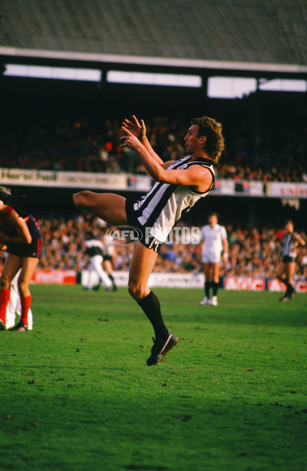 VFL 1989 - Collingwood v Melbourne - 28771