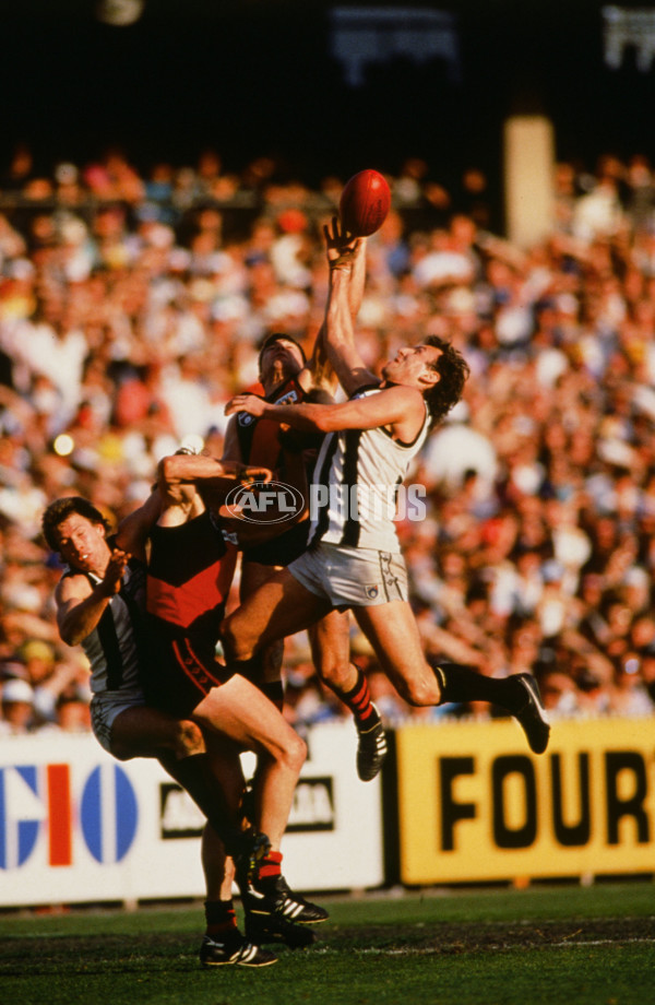 VFL 1989 - Collingwood v Essendon - 28699