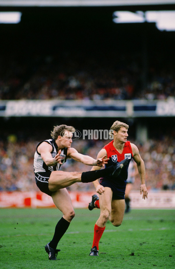 VFL 1988 - Collingwood v Melbourne - 28641